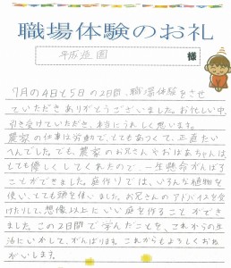 職場体験からプロフェッショナルを目指す 沖縄の造園なら平成造園 沖縄の造園 庭園 沖縄独特の樹木や草花の栽培