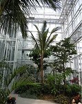 花王エコラボミュージアム・植物バイオマス研究棟