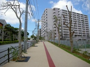 石嶺市営住宅植栽工事　完成