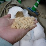 商品ディスプレイ用タコノキ出荷　沖縄特有の砂