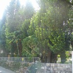 宜野湾市　A氏邸