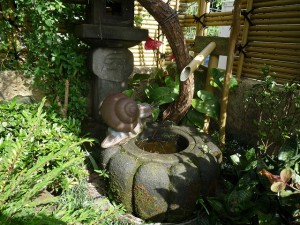 沖縄の珍風景〜デンデン虫〜