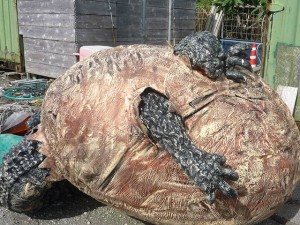 沖縄の珍風景〜怪獣誕生〜