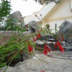 沖縄市 K氏邸 和風ロックガーデン