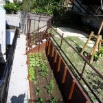 那覇市首里 N氏邸 野菜畑とゴーヤー棚