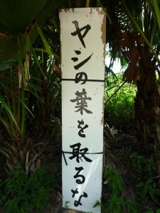 沖縄の珍風景〜ヤシの葉の受難〜看板