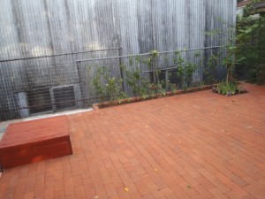 P9190016