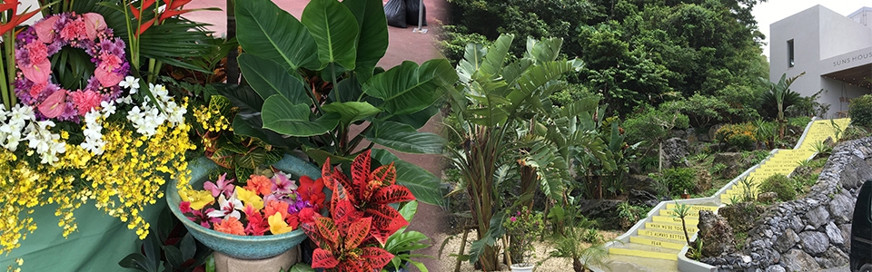 沖縄の造園なら平成造園 沖縄の造園 庭園 沖縄独特の樹木や草花の栽培